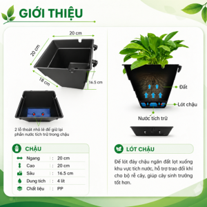 Hệ Chậu Cây Treo Tường - QA01
